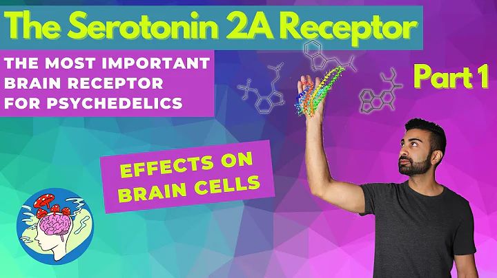 The Serotonin 2A Receptor Pt. 1: How Psychedelics Work in the Brain