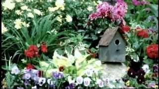 Jimmie Rodgers - Honeycomb