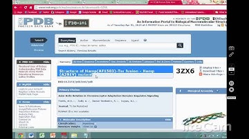 Computer Aided Drug Design Assignment (Individual)