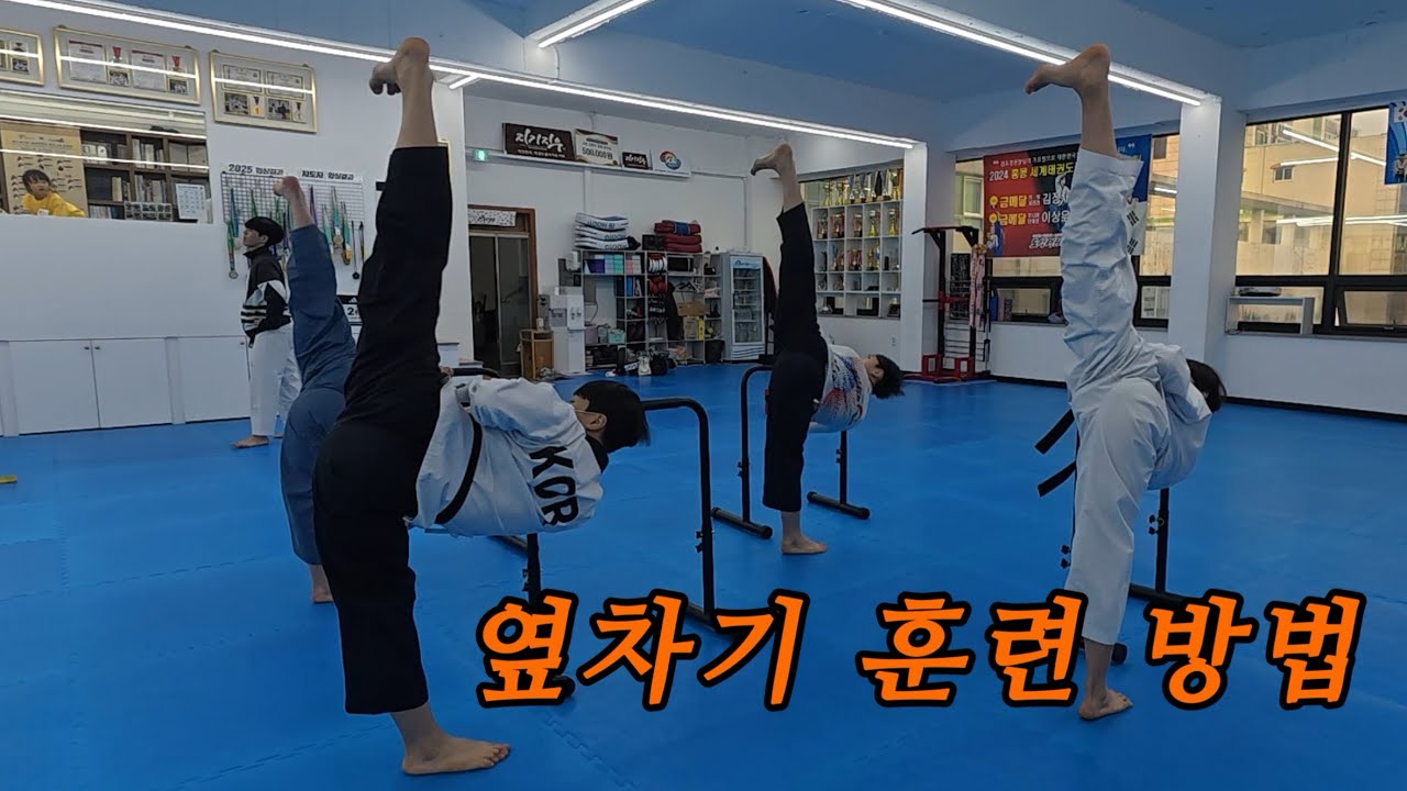 태권도 품새선수의 옆차기 훈련 방법 Side kick training method