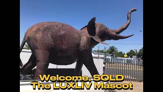 Welcoming Sold, The LuxLiv Mascot
