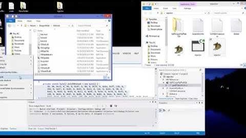 Dragon Nest Hack Shield Pro Injection Bypass