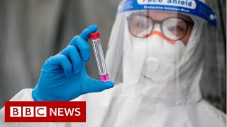 Coronavirus: WHO records highest global cases in 24 hours - BBC News