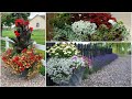 Favorite Plants for Container Gardens