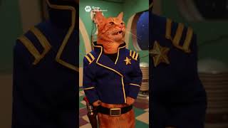 Star Cats #ai