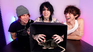 Thumbnail for What's In The Box With My Roommates