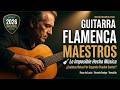 ¿Existe algo más difícil que esto? La Magia de la Guitarra Flamenca