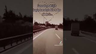 Sen Haklıydın Anne Tiktok Videolar - Anlamlı Sözler - Racon Sözler - Ağır Sözler