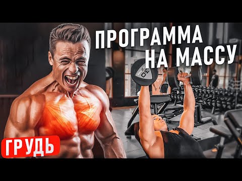 🔥ПРОГРАММА тренировок НА МАССУ в зале! ГРУДНЫЕ!