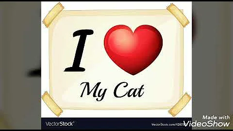 Emily L1U3 My Cat