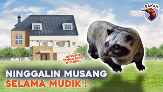 TINGGALIN MUSANG MUDIK ! EMANGNYA BISA ? #SAWAN