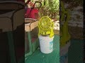 Ryobi misting fan in action