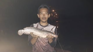 MEMANCING IKAN KELI shorts