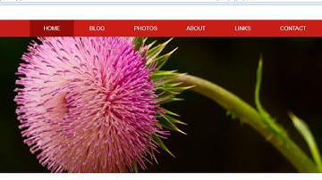 membuat blog dinamis dan mengkoneksikan dengan database