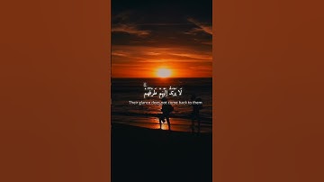 سورة إبراهيم ﴿٤٣﴾ | تلاوة خاشعة#quran #islam