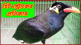 হিট স্ট্রোকের প্রতিকার || @MilonExpressBD