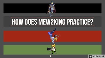 How Does Mew2King Practice?