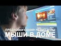 Ловлю мышей в доме / Релиз новой игры / Гость Dj Kostyak