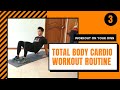 3  total body cardio workout routine  woyo  active zone sg