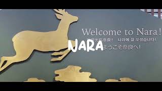 Japan travel vlog: Osaka, Nara (Japanese food, deer park)