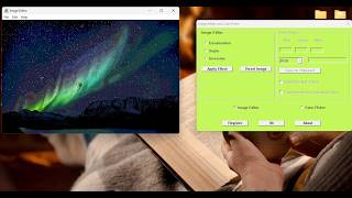 WinDev 2025 - Final Project by  Anuja Deshpande