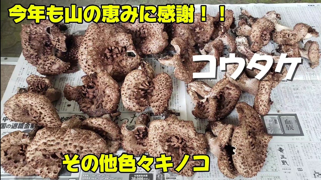 October 10, 2024: Infiltrating Mount Kotake - YouTube