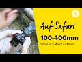 Ultra-Tele-Zoom Sigma 100-400mm | Auf Safari 🦌 | Foto Koch Hands-On