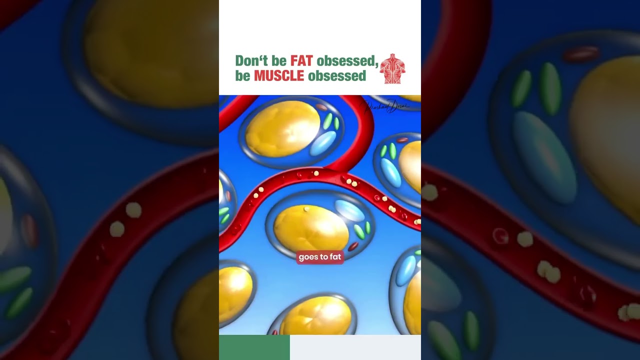 Health reel sample 2