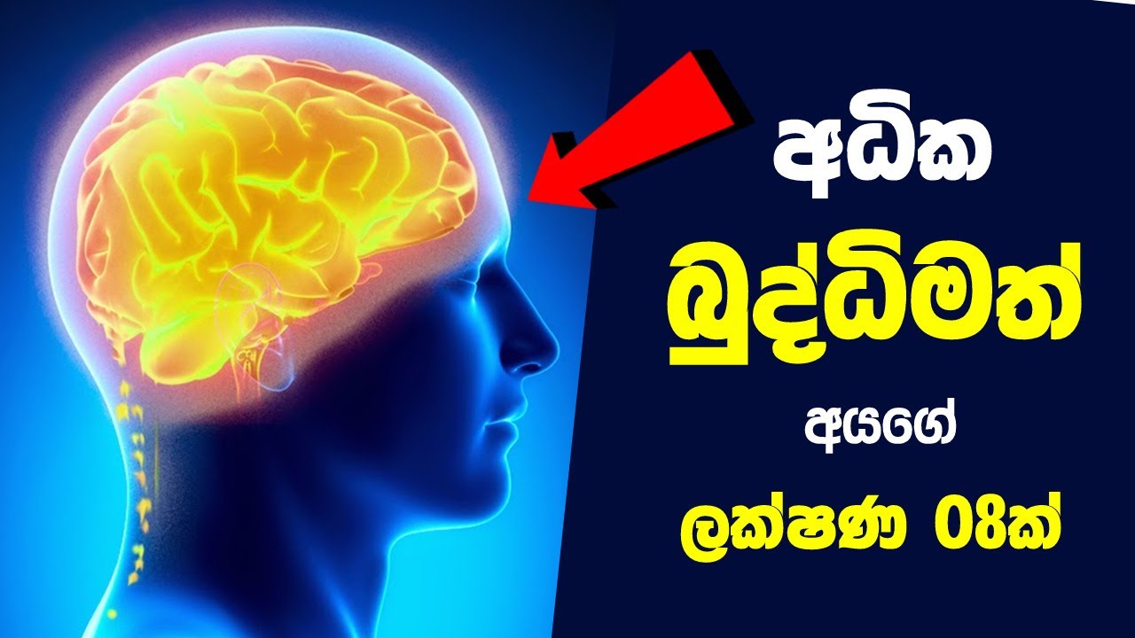 මේ ලක්ෂණ 8 තියෙනවා නම් ඔබත් අධික බුද්ධිමතෙක් | 8 signs of intelligence