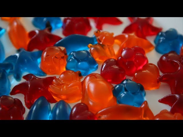 Authentic Gummy Bear Recipe (+ Video) – Sugar Geek Show