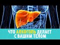 ЧТО АЛКОГОЛЬ ДЕЛАЕТ С ВАШИМ ТЕЛОМ