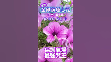 人生本是夢 覺醒即為佛｜金剛薩埵心咒 嗡 班雜 薩埵 吽消除罪業的 最強咒王