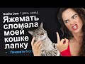 ЯЖЕМАТЬ СЛОМАЛА МОЕЙ КОШКЕ ЛАПКУ. ЯЖЕМАТЬ ИСТОРИИ.