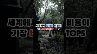 세계에서 장례식 비용이 가장 비싼 나라 TOP5