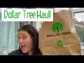 Dollar tree haul  come hang out april 19 2024