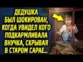 Дедушка ахнул, когда заглянув в старый сарай, увидел там кого уже давно подкармливала внучка…