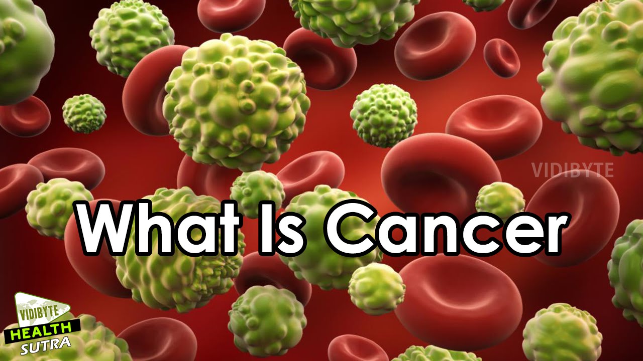 What Is Cancer, How Cancer Starts Healthy Tips YouTube