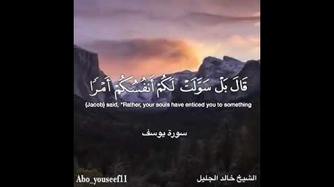 الشيخ خالد الجليل / سورة يوسف