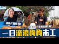 【元旦特別企劃】和老婆一起深入流浪動物之家的生活？ FT.@user-su1re5do8h 【豹子腿方昶詠】