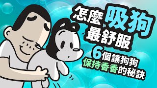 狗與鹿 6個讓狗一直保持香香的秘訣用治標又治本的方法去除狗臭味讓你從此大口大口吸爆狗狗