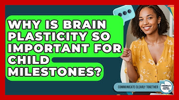 Why Is Brain Plasticity So Important For Child Milestones? - Communicate Clearly Together