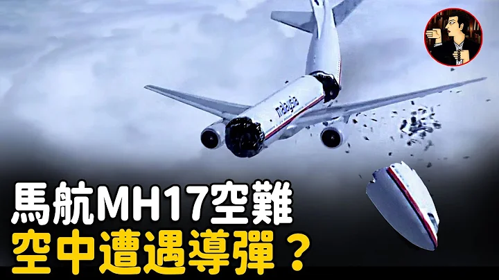 【MH17空难】马航MH17航班空难真相，飞机被导弹击中，谁是最后的元凶呢？（马航MH17空难） - 天天要闻