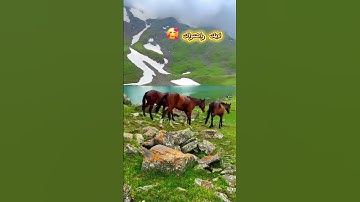 سورة العاديات بصوت #العجمي #تلاوة_خاشعة #اكسبلور #قرآن_كريم