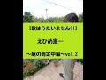 歌はうたいません!?】えひめ憲一 ~庭の剪定中編~vol.2