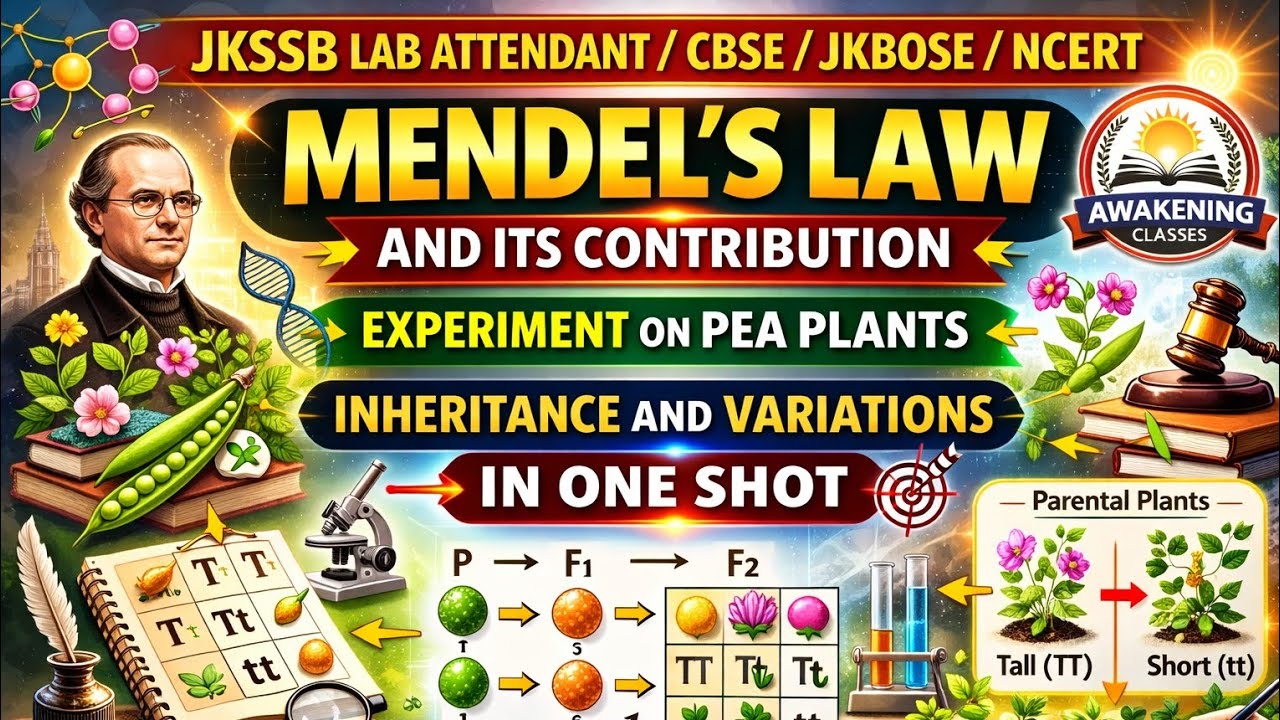 Mendels Contribution and Experiment on Pea Plant/Lab Attendant/JKSSB/