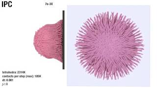 [SIGGRAPH 2020] Incremental Potential Contact (IPC) screenshot 4