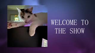 Celebrity Edit Audio | Welcome To The Show Net Worth