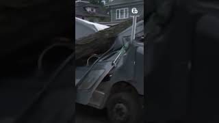 Information Amazon truck crushed by fallen tree in Plainfield, NJ News
