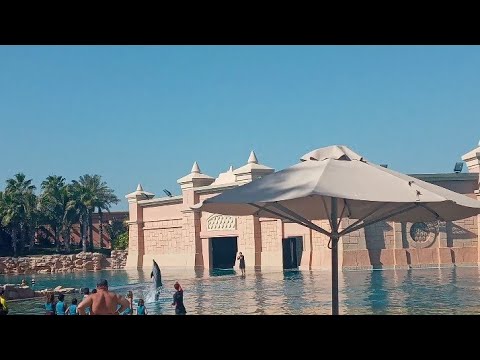 DOLPHIN SHOW DUBAI FAMILY BONDING