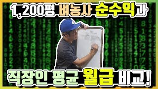벼농사 월수익 vs 직장인 평균월급